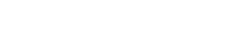 Brand Design Partnerships — BisonSatellite.com (Denver, CO)